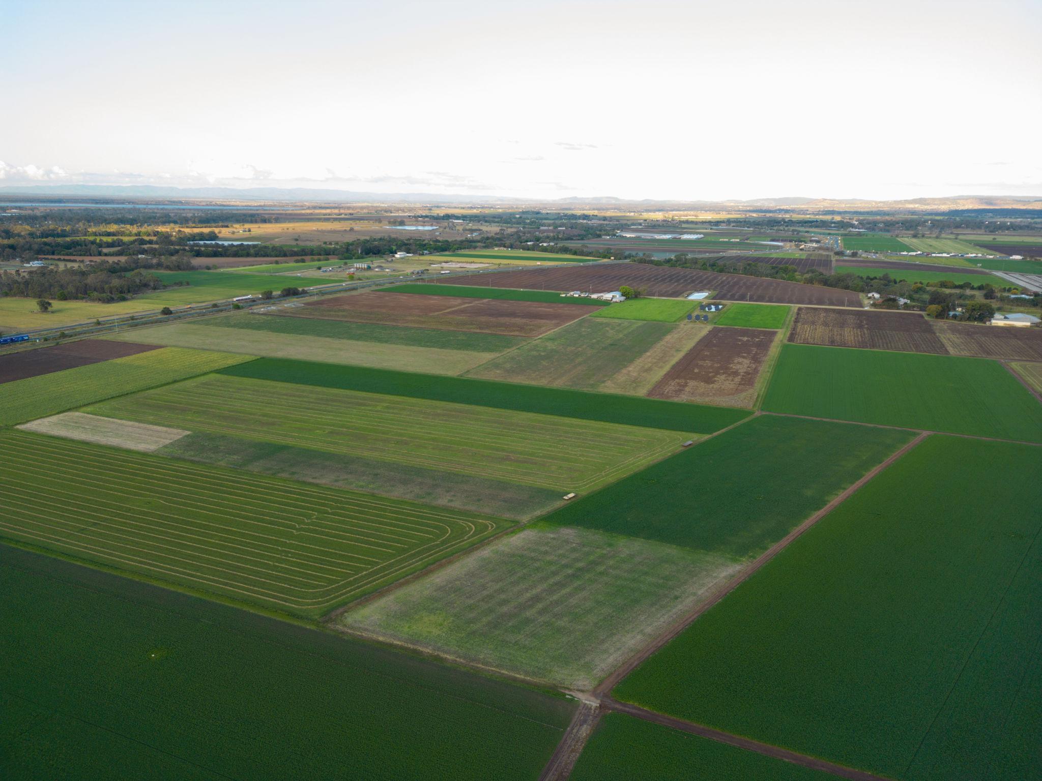 Lockyer Valley farmland